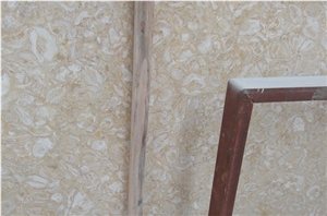 Shell Reef Golden Limestone Slab, Syria Yellow Limestone Shell Reef Golden Limestone Slab, Syria Yellow Limestone