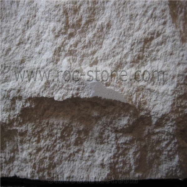 Slate Mushroom Wall Panel