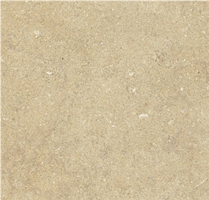 Jerusalem Gold Medium Limestone Tiles & Slabs, Beige Limestone Tiles & Slabs