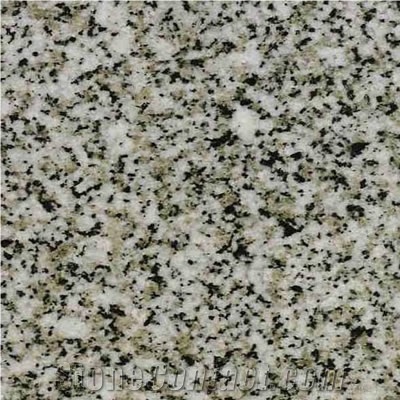 Cinza Evora ,Gris Evora Granite Slabs