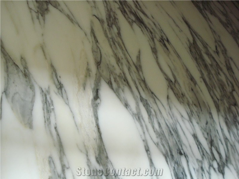 China Factory Direct Arabescato Marble Slab, Italian Calacatta White Marble Skirting, Floorng Tiles and Wall Claddings for Building Projects