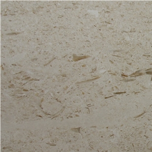 Moonlight Cream Marble Slabs, Turkey Beige Marble