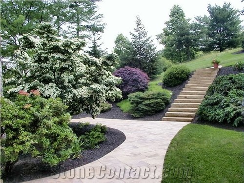 Pennsylvania Sandstone Sand-Lick Sawn Pavers, Ste