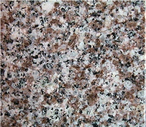 Ambrosia Brown, China Brown Granite Slabs & Tiles