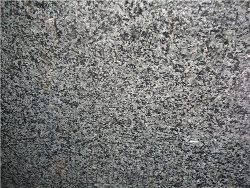 Black Ice Flower Granite Polished Slab