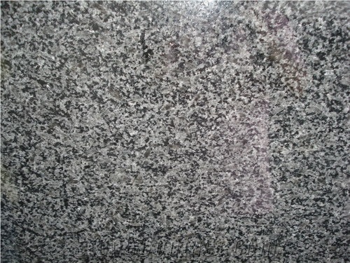 Black Ice Flower Granite Polished Slab