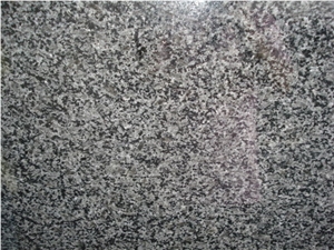 Black Ice Flower Granite Polished Slab
