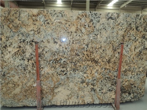 Pisa Giallo Veneziano Granite Slab