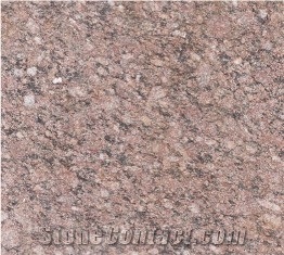 Ruby Red Granite Slabs & Tiles, India Red Granite