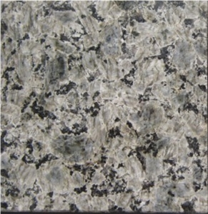 G Blue Leopard Granite