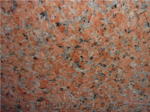 G386-7 /g386-8,G562 Maple Red Granite