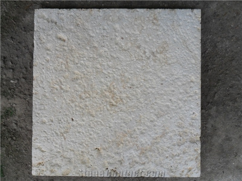 Natural Coral Stone Tiles, Mactan Stone Tiles