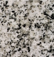 Serena White - Granito Blanco Serena Granite Slabs
