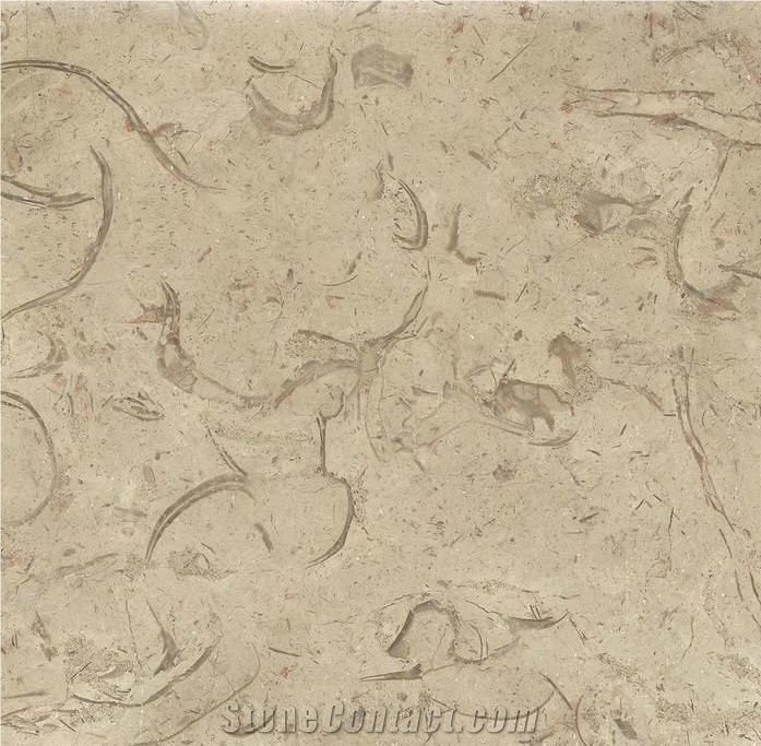 Catharina - Katrena Limestone Tiles, Egypt Beige Limestone