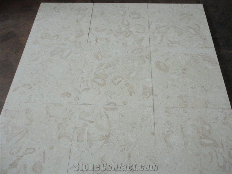 Shells Reef (white), White Limestone Slabs