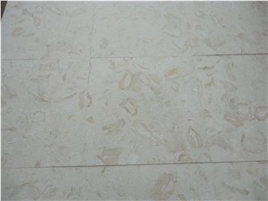 Shells Reef (white), White Limestone Slabs