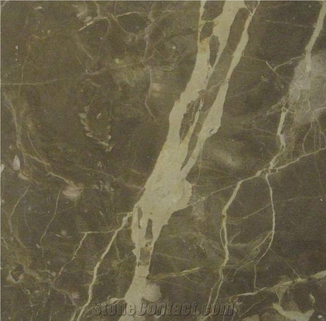 Chocolate Jerusalem Stone Limestone Slabs, Israel Brown Limestone