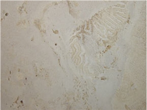 Classic Coral Stone Slabs, Classic Coral Stone Tiles