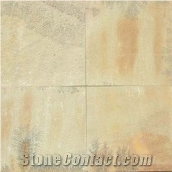 Fossil Mint Sandstone, Sandstone Slabs