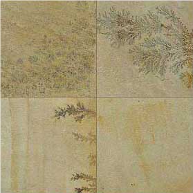 Fossil Mint Sandstone, Sandstone Slabs