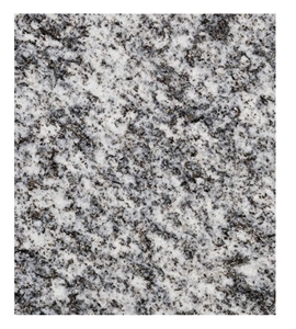 Cresciano Granite Slabs, Switzerland Grey Granite Cresciano Granite Slabs, Switzerland Grey Granite