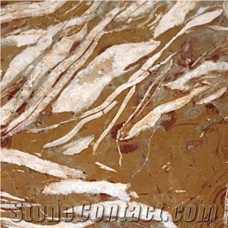 Lumachella Marble Block