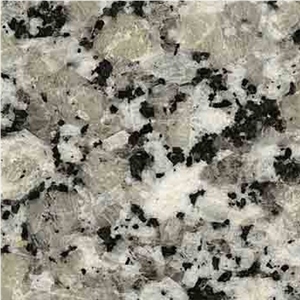 Pearl Grey, Grey Conquistador Granite Slabs
