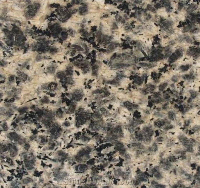 Leopard Skin Granite Tile( Reasonable Price)