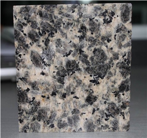Leopard Skin Granite Tile( Reasonable Price)