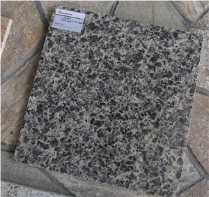 Leopard Skin Granite Tile( Reasonable Price)
