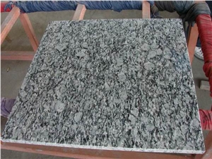 Polished Oyster Pearl Granite Tile(own Factory)