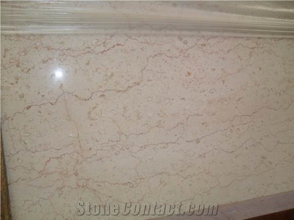 Polished Shell Beige Marble Slab(good Price)