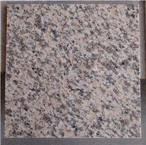 Tiger Skin Red Granite Tile (own Quarry)