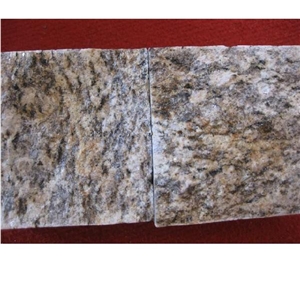 Tiger Skin Yellow Granite Paving Stone