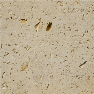 Texas Shell, United States Beige Limestone Slabs & Tiles