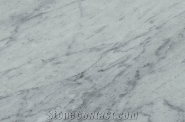 Bardiglietto Marble Slabs, Italy White Marble