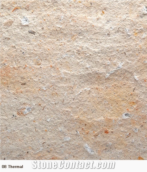 Ginseng Cream Limestone Slabs, China Beige Limestone