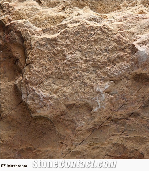 Kinaro Gold Limestone Slabs, China Yellow Limestone