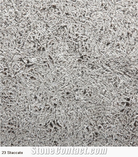 Manchu Caviar Limestone Slabs, China Black Limestone