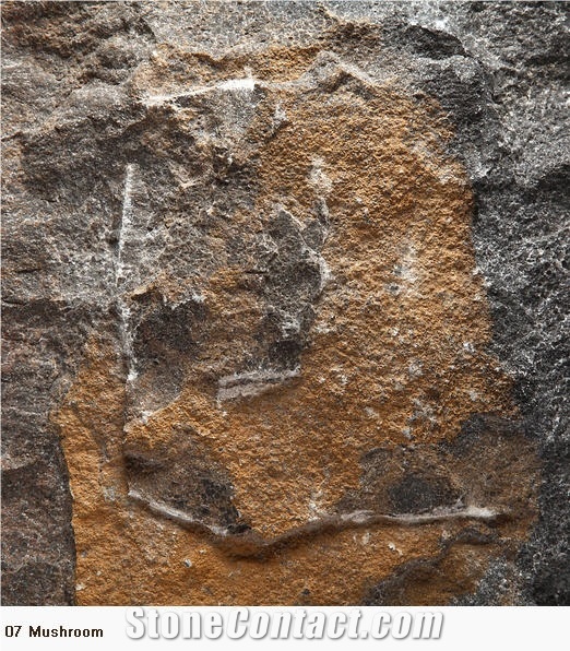 Rusty Manchu Caviar Limestone Slabs, China Brown Limestone