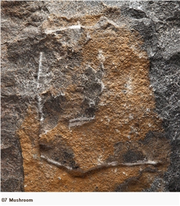 Rusty Manchu Caviar Limestone Slabs, China Brown Limestone