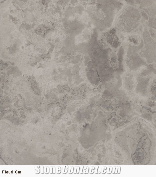White Grain Limestone Slabs, China Grey Limestone