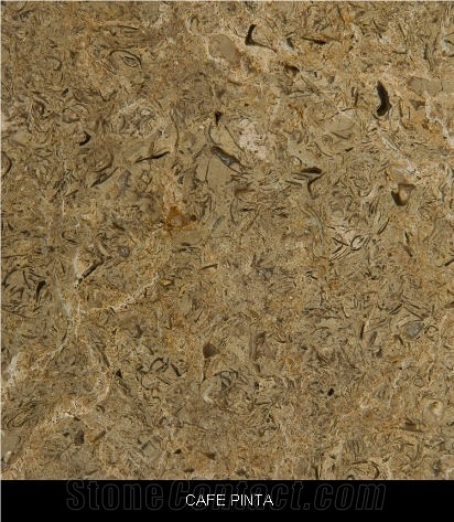 Cafe Pinto Limestone Slabs, Colombia Brown Limestone