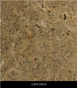 Cafe Pinto Limestone Slabs, Colombia Brown Limestone