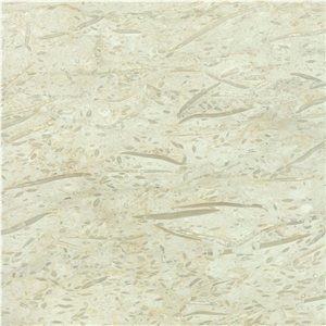 Fossil Beige Limestone Slabs, Turkey Beige Limestone