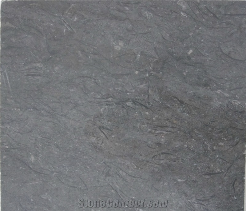 Indonesia Grey,Gregorio Grey Limestone Slabs