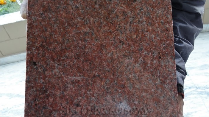 Ruby Red Granite Tiles, Slabs