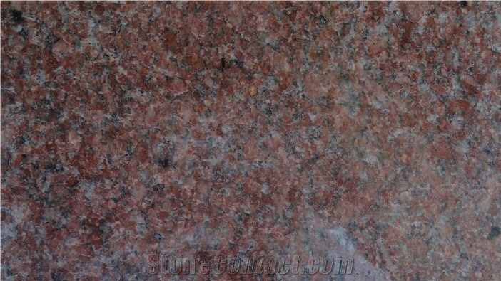 Ruby Red Granite Tiles, Slabs