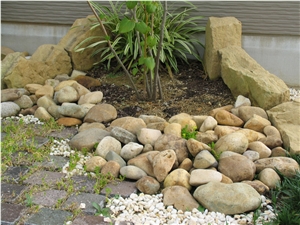 Yellow Granite Pebble Stone