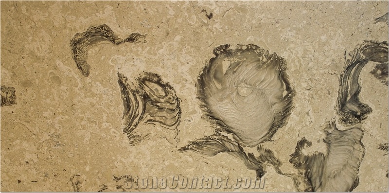Perla Bello Marble Blocks, Turkey Beige Marble